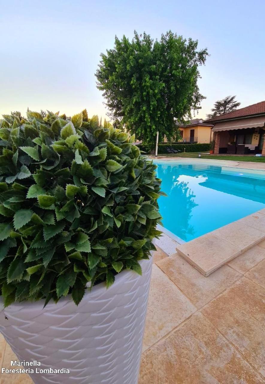 Marinella B&B Cornale ภายนอก รูปภาพ