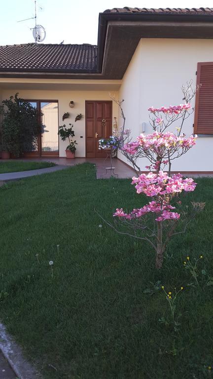 Marinella B&B Cornale ภายนอก รูปภาพ